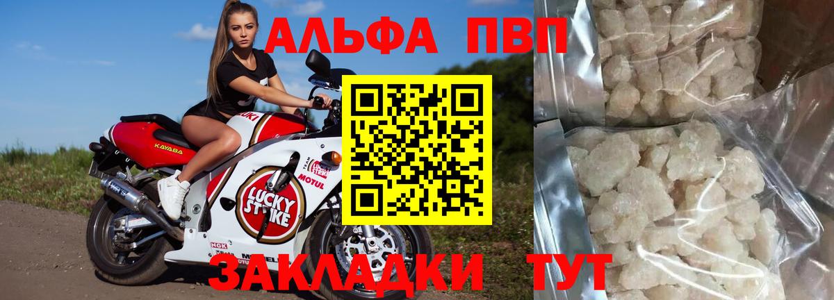 Псилоцибиновые грибы Нурлат