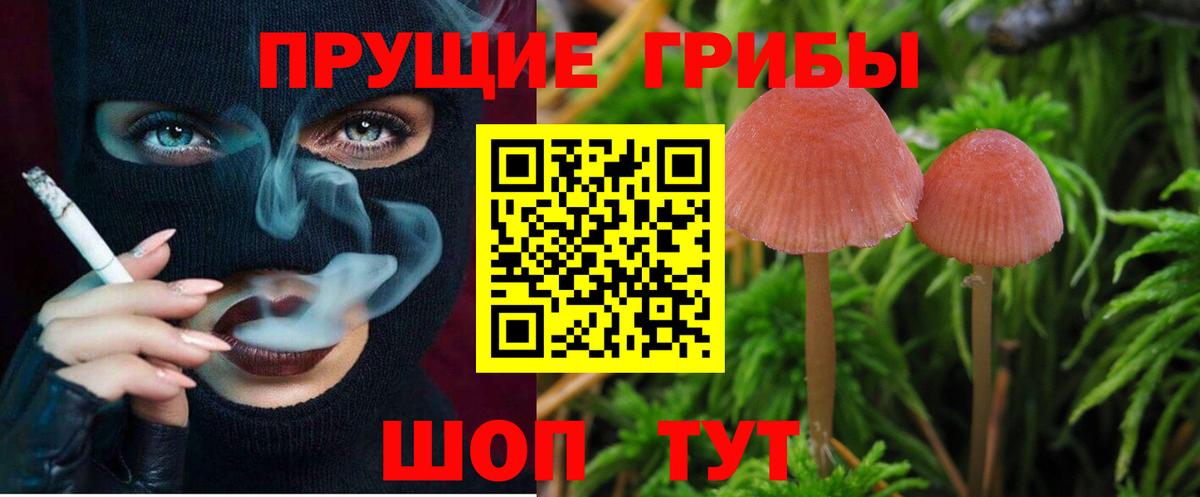 Галлюциногенные грибы мицелий Нурлат